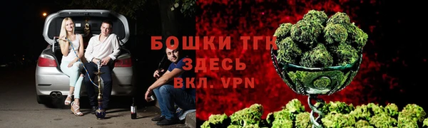 экстази Богданович