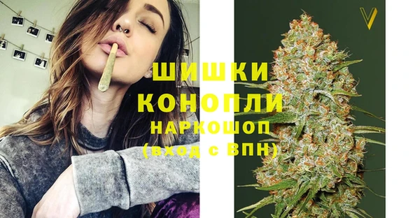 apvp Рославль