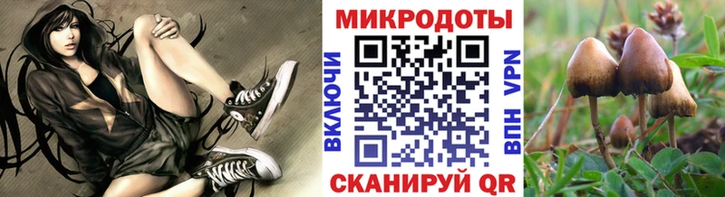 Псилоцибиновые грибы Cubensis  Липецк 